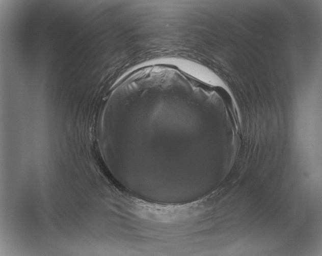 X0000056370039200509161906