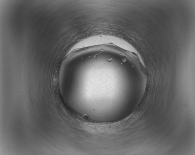 X0000056370040200509161906