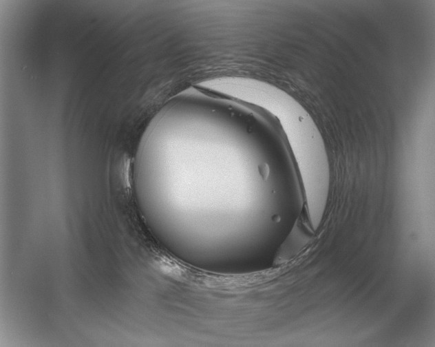 X0000056370041200509161906