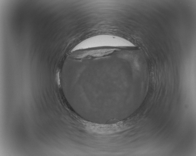 X0000056370042200509161906