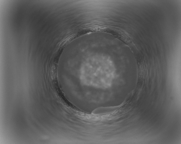 X0000056370043200509161906