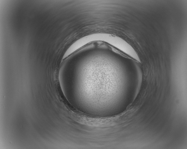 X0000056370044200509161906