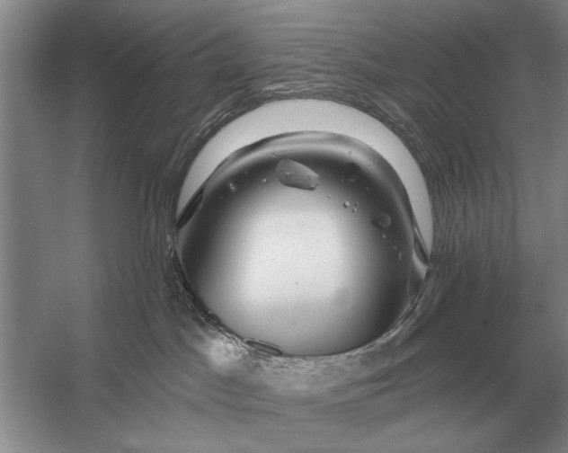 X0000056370045200509161906