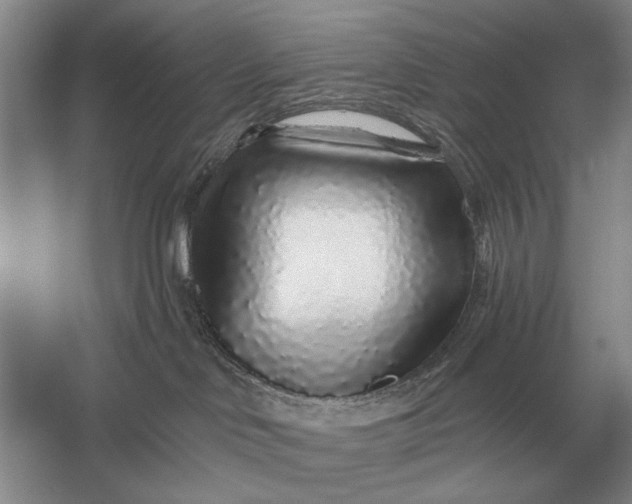 X0000056370046200509161906