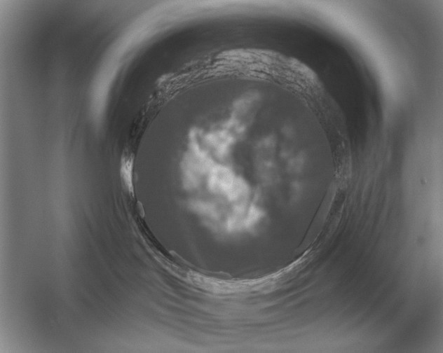 X0000056370047200509161906