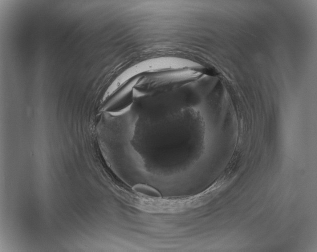 X0000056370048200509161906