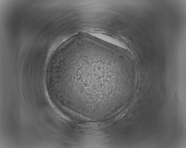 X0000056370049200509161905