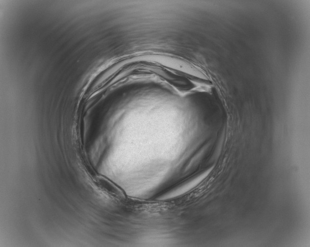 X0000056370050200509161905