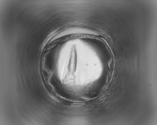 X0000056370051200509161905