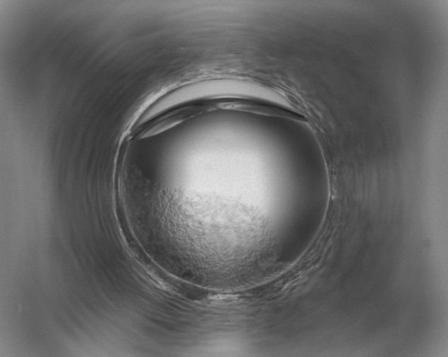 X0000056370052200509161905