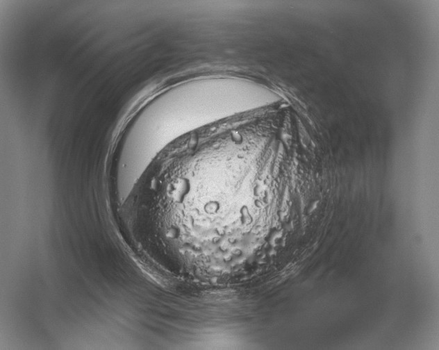 X0000056370053200509161905