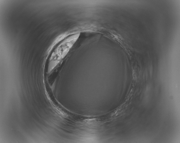 X0000056370054200509161905