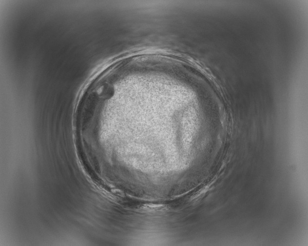 X0000056370055200509161905