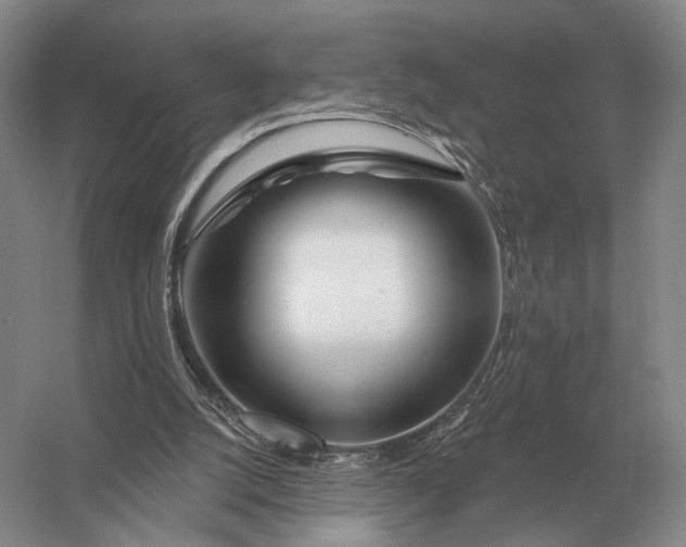 X0000056370056200509161905