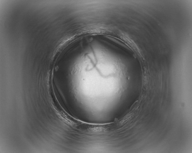 X0000056370058200509161905