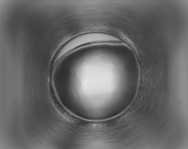 X0000056370059200509161905