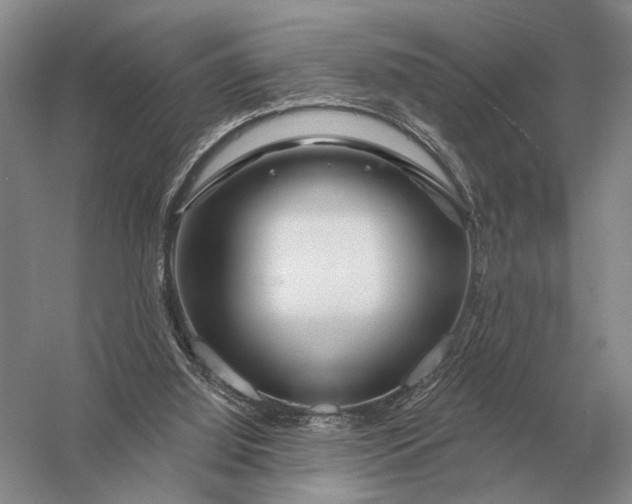 X0000056370060200509161905