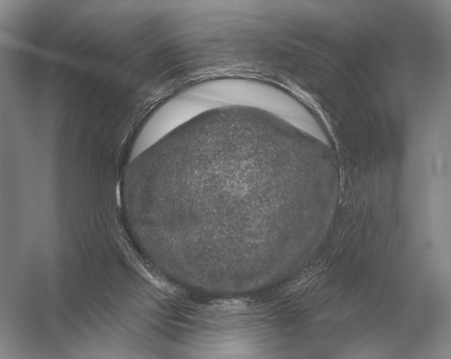 X0000056370061200509161905