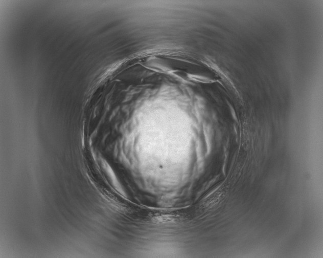 X0000056370062200509161905