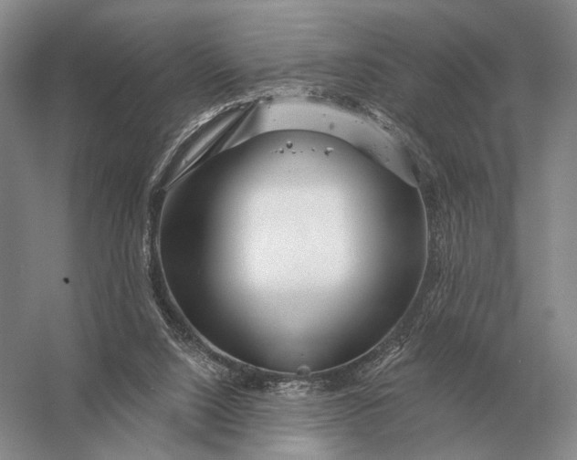 X0000056370064200509161905