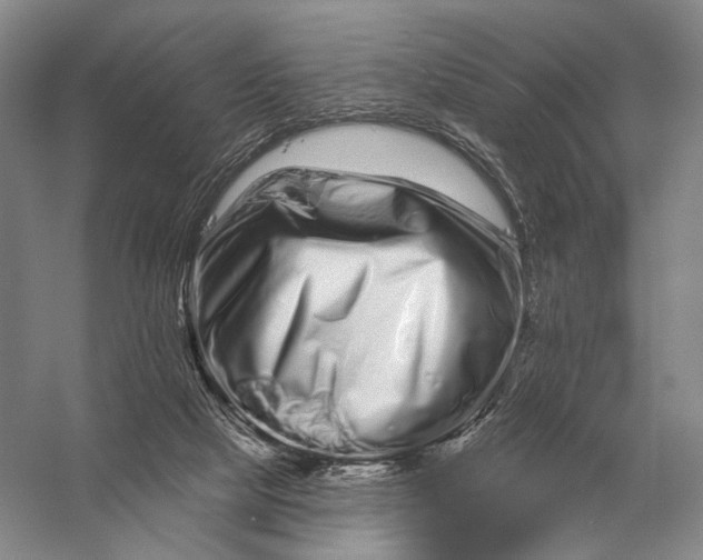 X0000056370065200509161905