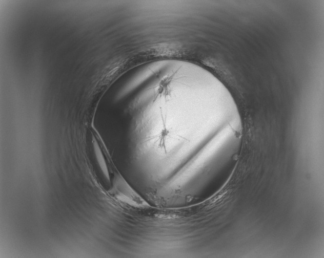 X0000056370066200509161905