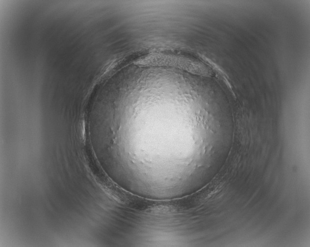 X0000056370067200509161905