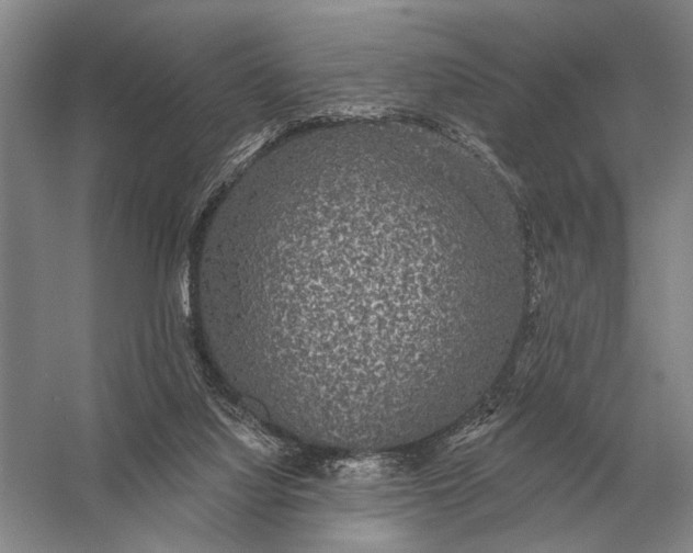 X0000056370068200509161905