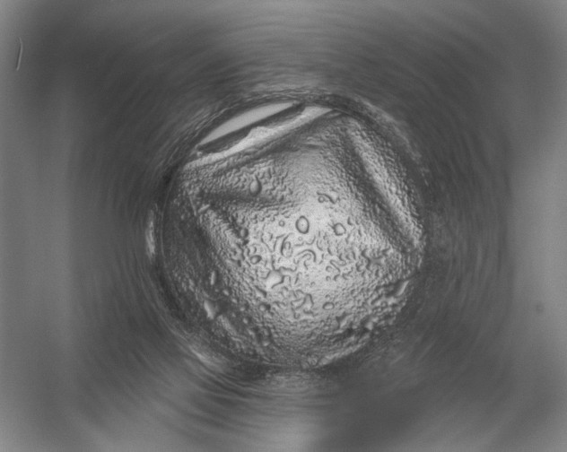 X0000056370069200509161905