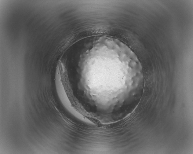 X0000056370070200509161905