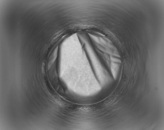 X0000056370071200509161905