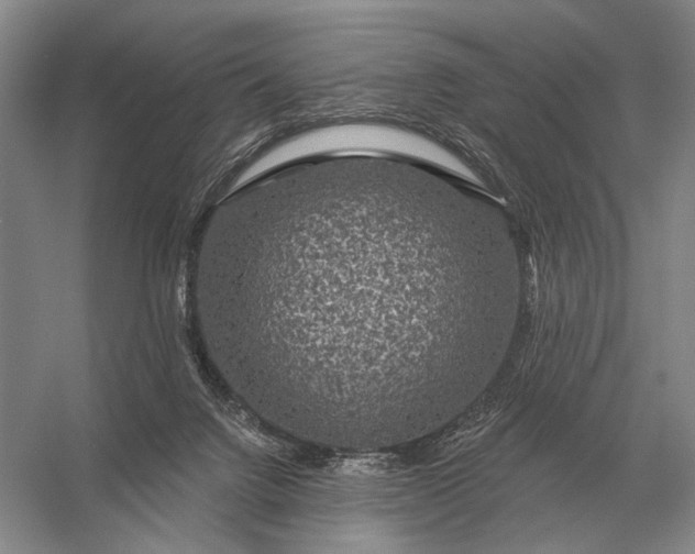 X0000056370072200509161905