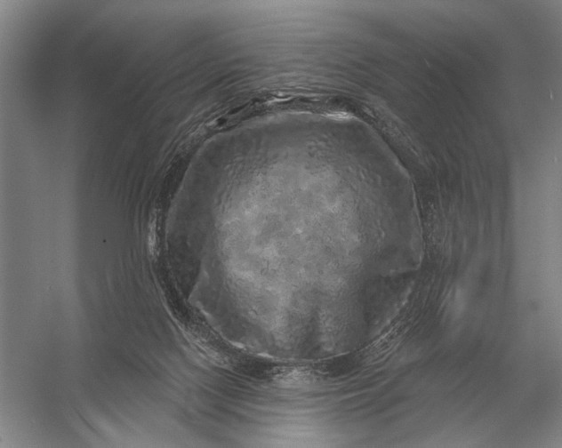 X0000056370074200509161905