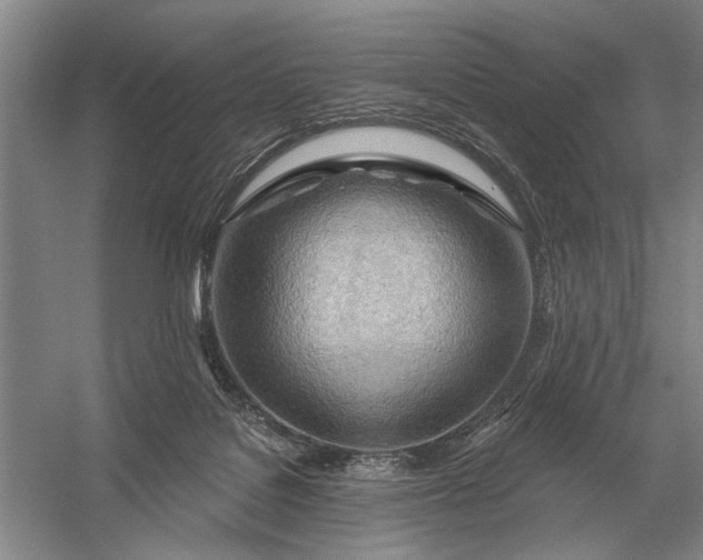 X0000056370076200509161905