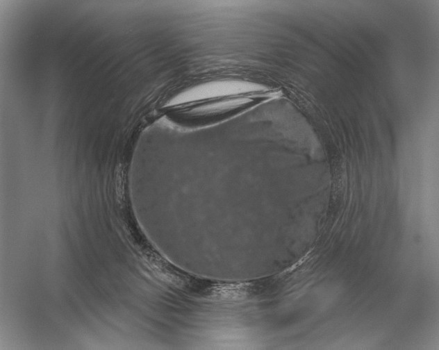 X0000056370078200509161905