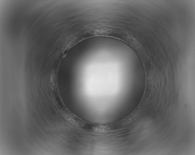 X0000056370079200509161905