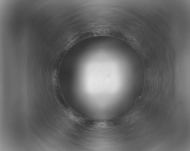 X0000056370083200509161905