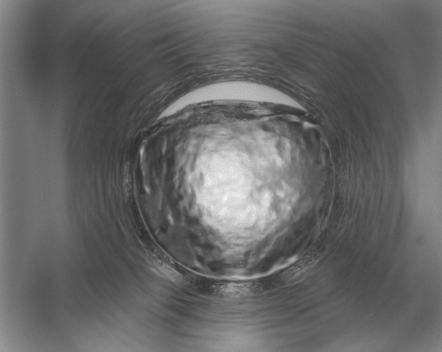 X0000056370085200509161905