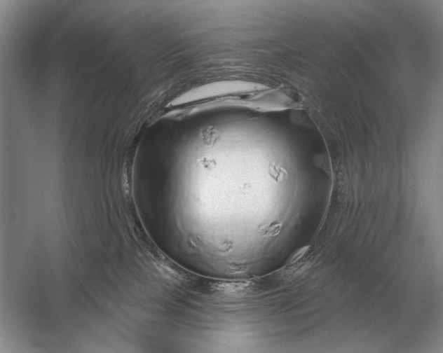 X0000056370089200509161905