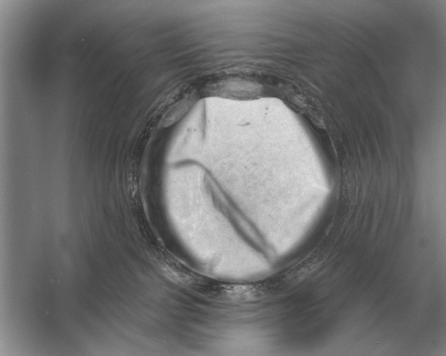 X0000056370091200509161906