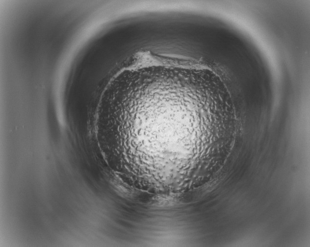 X0000056370093200509161906