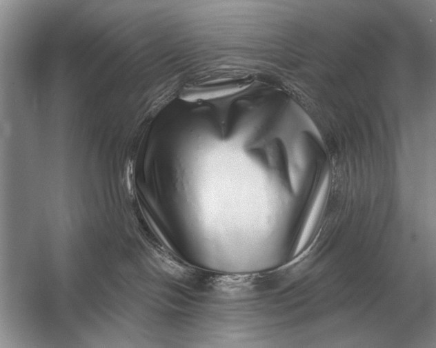 X0000056370094200509161906