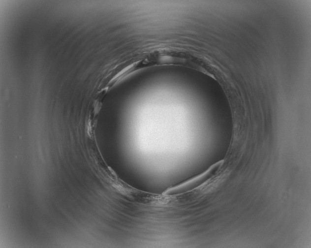 X0000056370096200509161906