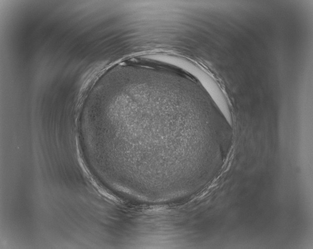 X0000056370097200509161905