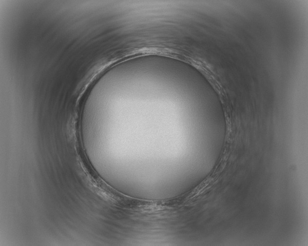 X0000056370098200509161905