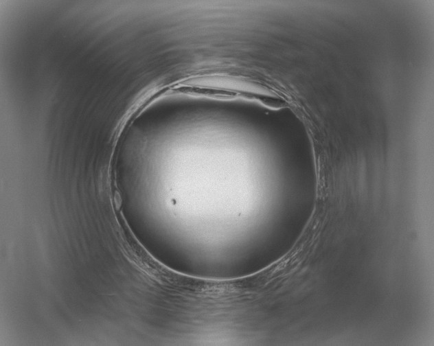 X0000056370099200509161905