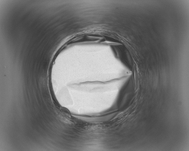 X0000056370100200509161905