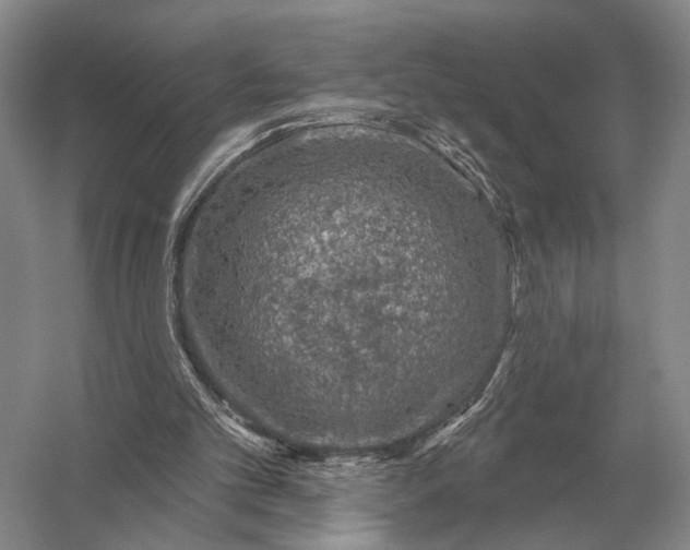 X0000056370101200509161905