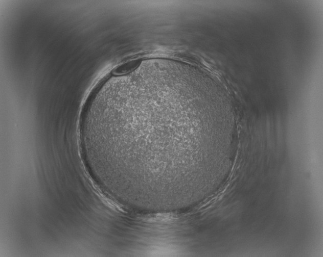 X0000056370102200509161905