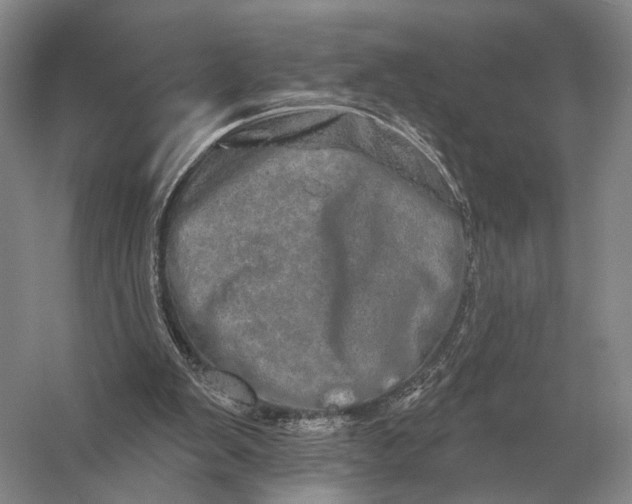 X0000056370103200509161905